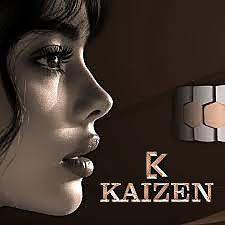 کایزن KAIZEN
